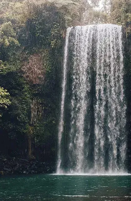 Millaa Millaa Falls in the Atherton Tablelands rainforest